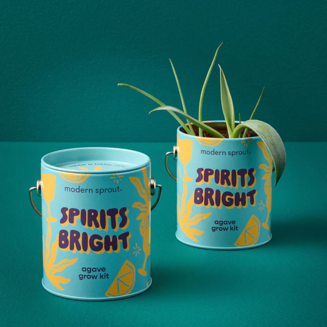 Grow Kit Spirits Bright Agave – Modern Sprouts